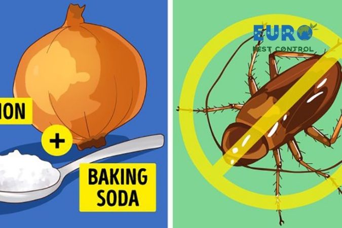 Giải pháp ngăn côn trùng vào nhà