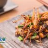 Vì sao côn trùng có thể là chìa khóa cho an ninh lương thực?