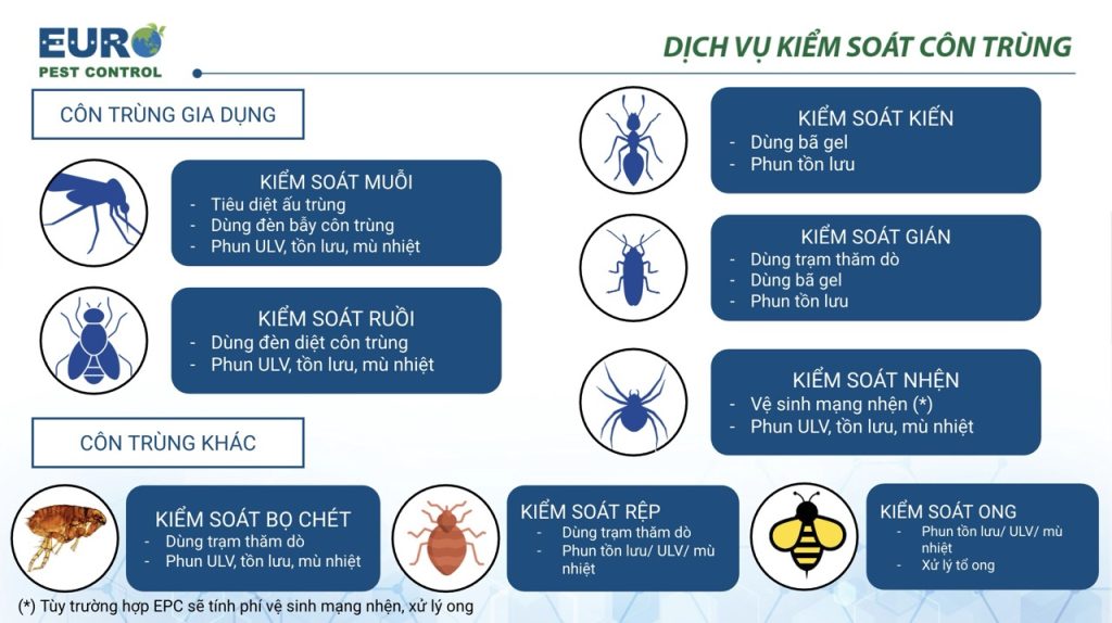 dich vu kiem soat con trung gia dung
