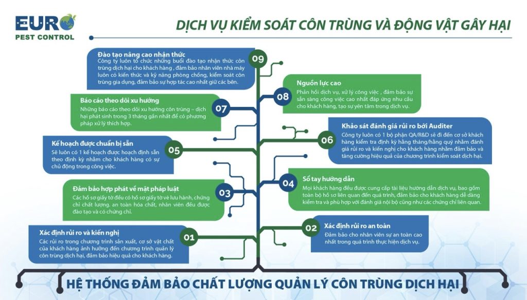 he thong dam bao chat luong