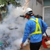 5 tiêu chí chọn công ty diệt mối tphcm