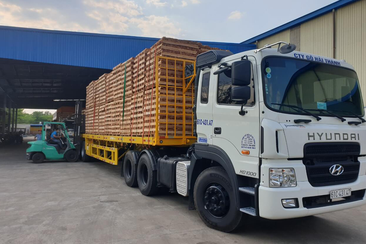 xong-hoi-khu-trung-pallet-go-2025/