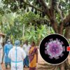 virus nipah